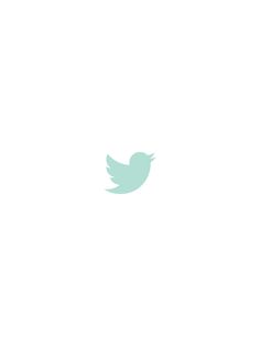 the twitter logo has been changed to look like it is flying through the sky with no clouds