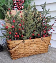 a basket filled with christmas trees and berries