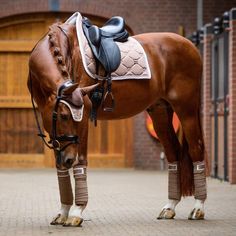 a brown horse standing on top of a brick floor next to a wooden fence and gate