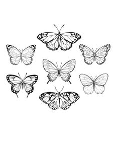 black and white butterflies on a white background stock photo - 549782