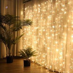 a curtain with lights hanging from it and a potted plant in front of it