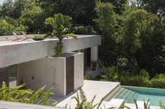 an exterior view of a modern house with pool and trees in the foreground, surrounded by greenery