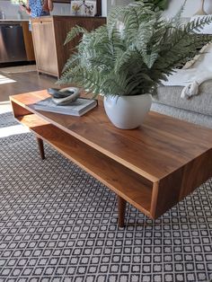 a living room with a couch, coffee table and potted plant on top of it