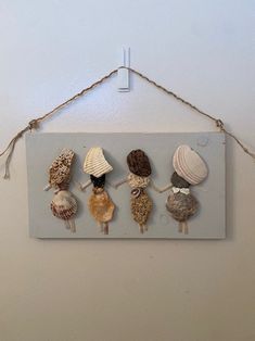 a group of seashells hanging on a wall