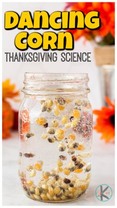 the cover of dancing corn thanksgiving science