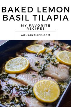 baked lemon basil tilappa in a baking pan with sliced lemons on top