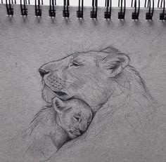 a drawing of a lion and its cub resting on their mother's back in pencil