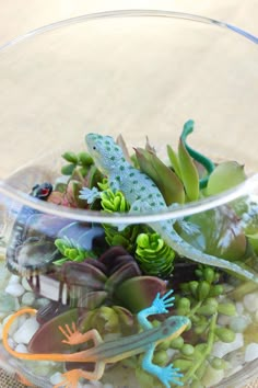 a glass bowl filled with plants and rocks