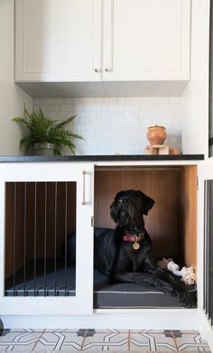 a black dog is sitting in his kennel