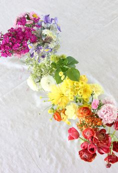 several different colored flowers are arranged on a white surface