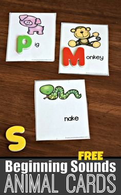 the letter m is for animal cards with pictures of animals and letters that spell them out