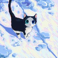 a black and white cat with blue eyes walking in the snow on a sunny day