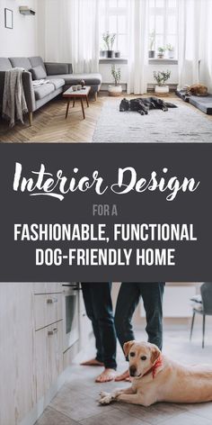 the interior design for a fashionable, functional dog - friendly home is featured in this article