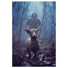 Jesus Running Toward A Lost Lamb In A Dark Rainy Forest Wall Art Canvas. This Christian Canvases collection is where faith meets artistry to inspire and uplift your living space. Each canvas in this carefully curated collection is a masterpiece, meticulously designed to convey the timeless messages of hope, love, and spirituality. Our Christian Canvases feature a harmonious blend of contemporary design and sacred symbolism. From serene depictions of biblical scenes to modern interpretations of i Lost Lamb, Jesus Christ Painting, Jesus Artwork, Pictures Of Christ, Jesus Christ Artwork, Jesus Christ Art, Christian Quotes God, Jesus Painting, The Good Shepherd