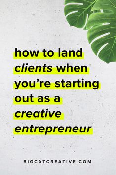 a green plant with the words how to land client when you're starting out as a creative enterprise