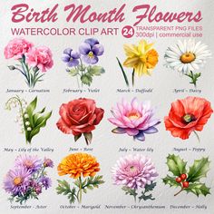 the birth month flowers watercolor clipart is shown in this image, and it's all different colors