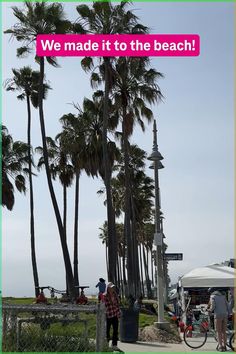 palm trees and people on the beach with a sign that says we made it to the beach