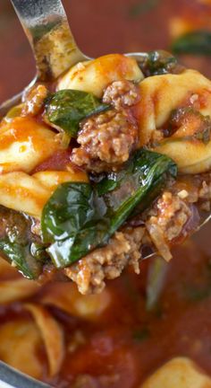 a spoon full of pasta and spinach in tomato sauce with meat on top is being held up by a ladle