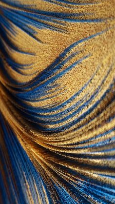 close up view of blue and gold feathers