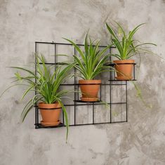 three potted plants are on a metal shelf next to a wall mounted planter