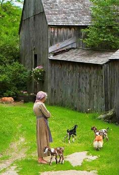 a woman standing in the grass next to two small dogs and a barn behind her