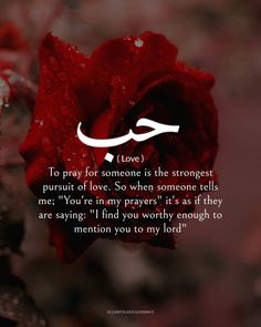 a red rose with the words love written in arabic on it, and an image of a