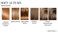 Calm Autumn Hair Colors, Muted Autumn Nails, Hair Colour For Soft Autumn, Muted Brown Hair Color, Brown Hair For Soft Autumn, Mute Brown Hair Color, Soft Autumn Eye Color, Hair Color Ideas For Soft Autumn, Soft Autumn Copper Hair