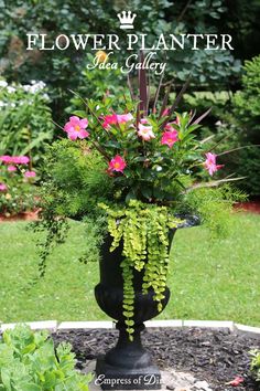 a black vase filled with lots of flowers on top of a lush green park area