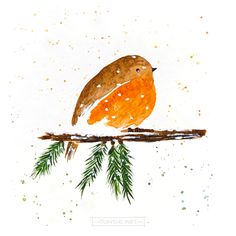 robin illustration bird for christmas Watercolour Winter, Watercolor Christmas Cards Diy, Christmas Cards Drawing, Christmas Card Illustration, Ink And Watercolour, Watercolor Christmas Tree, Christmas Collage, Christmas Card Art, Homemade Christmas Cards