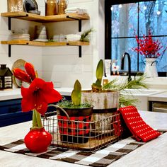 the kitchen counter is clean and ready to be used as a centerpiece for decor