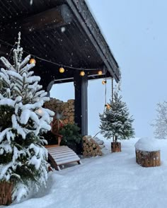 the porch is covered in snow and lit up with christmas lights, as well as small trees