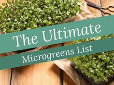 the ultimate microgreens list