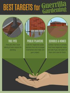 the benefits of gardening for gardeners and homeowners info graphic on green background