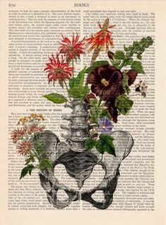 an old book page with flowers and bones