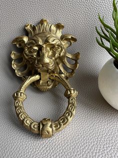 a gold lion head door knocker next to a potted plant