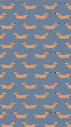 a blue background with orange and black dogs on it