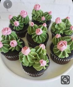 cupcakes decorated with green and pink flowers on a white plate