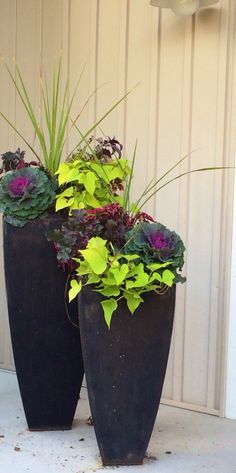 two large black vases with plants in them