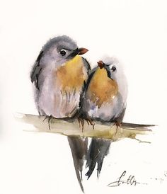 two small birds sitting on top of a wooden branch next to each other in front of a white background