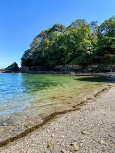 the water is green and clear at this beach