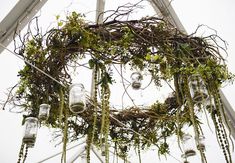 an arrangement of glass jars and vines hanging from the ceiling in front of a gazebo