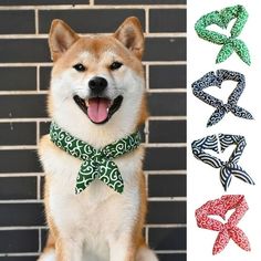 an image of a dog wearing a bow tie with different colors and patterns on it