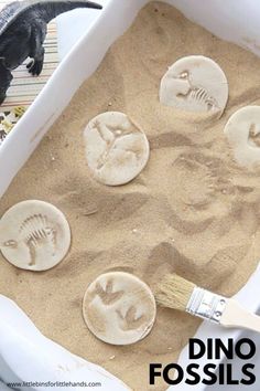 an image of sand in a container with dinosaurs and fossil imprints on the sand