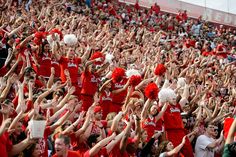 a large group of people wearing red and white cheer for their team at a football game