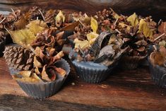 several cupcakes with pine cones and leaves in them sitting on a wooden table