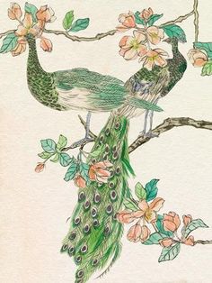 two peacocks sitting on top of a tree branch with flowers in front of them