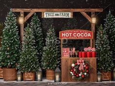 christmas trees are lined up in front of a hot cocoa stand