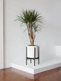 a potted plant sitting on top of a white shelf next to a yellow pipe