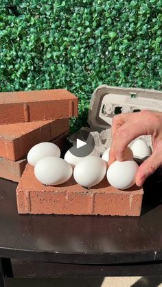 an egg laying in a brick box on top of a table