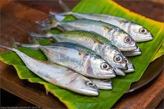 some fish are sitting on a green leaf